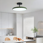 Lighting Vintage LED Ceiling Light with Colour Temperature