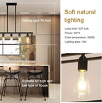 Lights Ceiling Chandelier Dining Room Hanging Light