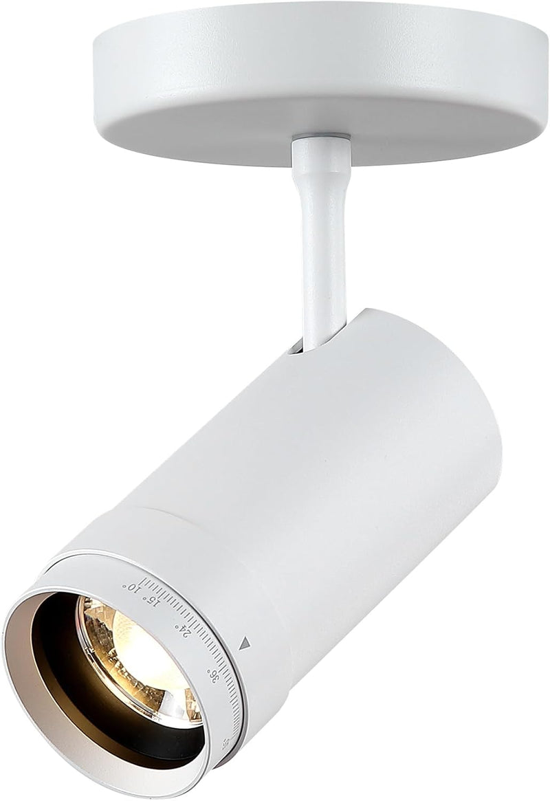 Lights Ceiling Zoomable Directional Spotlights