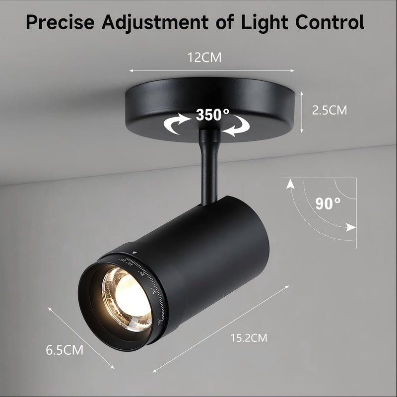 Lights Ceiling Zoomable Directional Spotlights