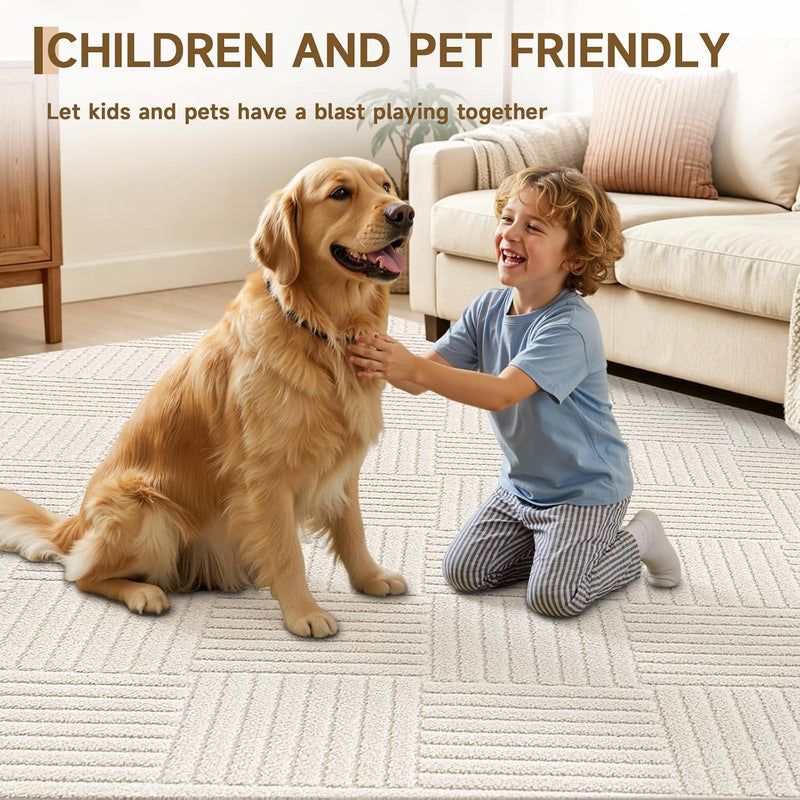 Living Room Area Rug