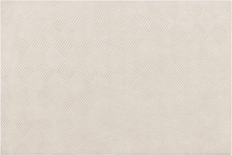 Living Room Area Rug