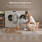 Living Room Area Rug Machine Washable Non