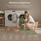Living Room Area Rug Machine Washable Non