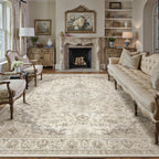 Living Room Area Rug Machine Washable Non