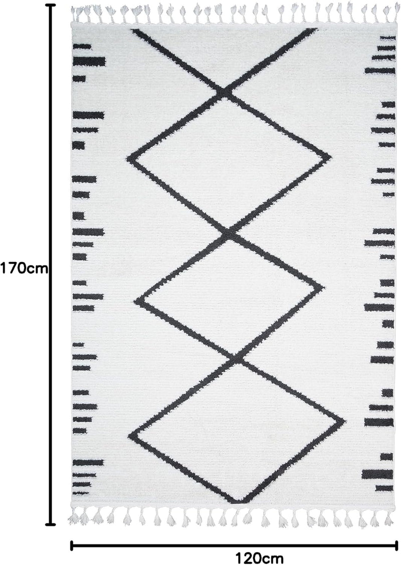 Living Room Rug Berber