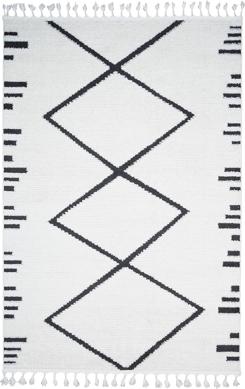 Living Room Rug Berber
