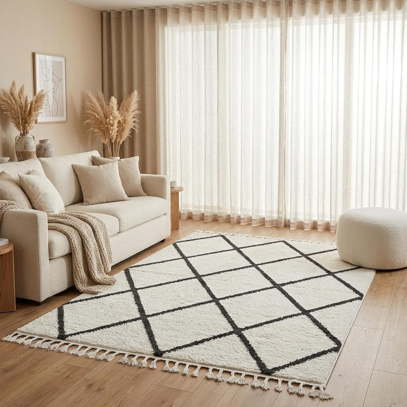 Living Room Rug Berber