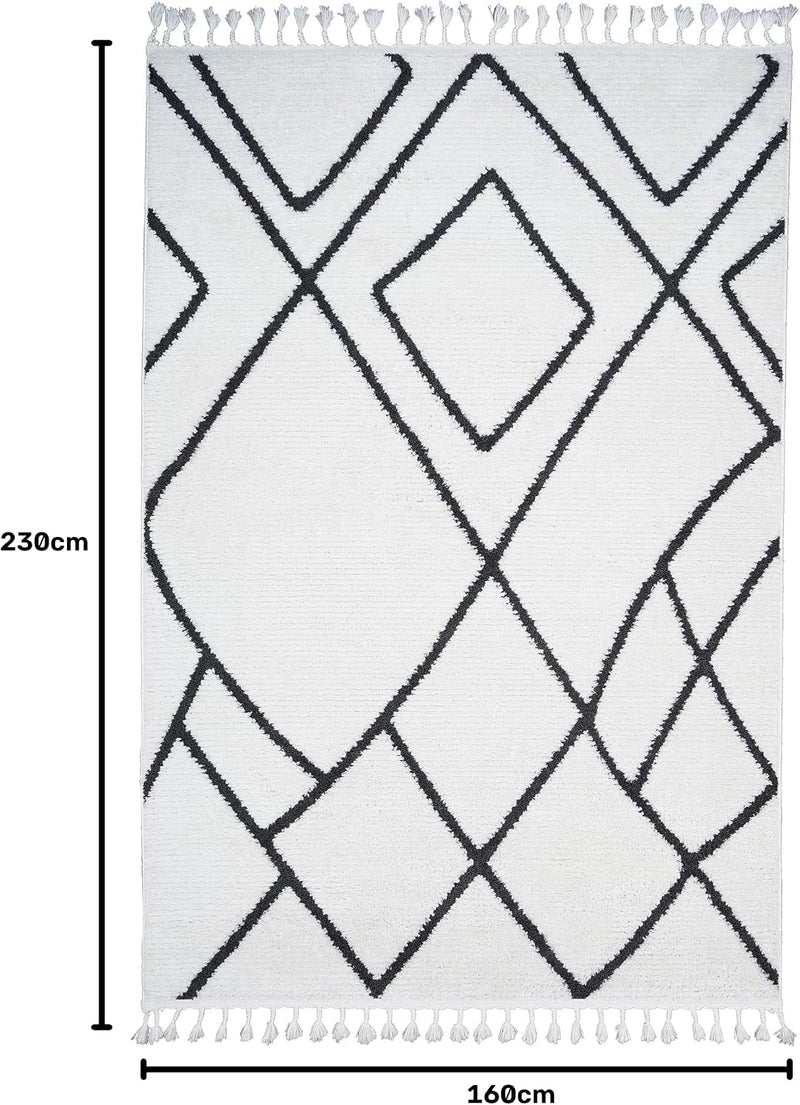 Living Room Rug Berber