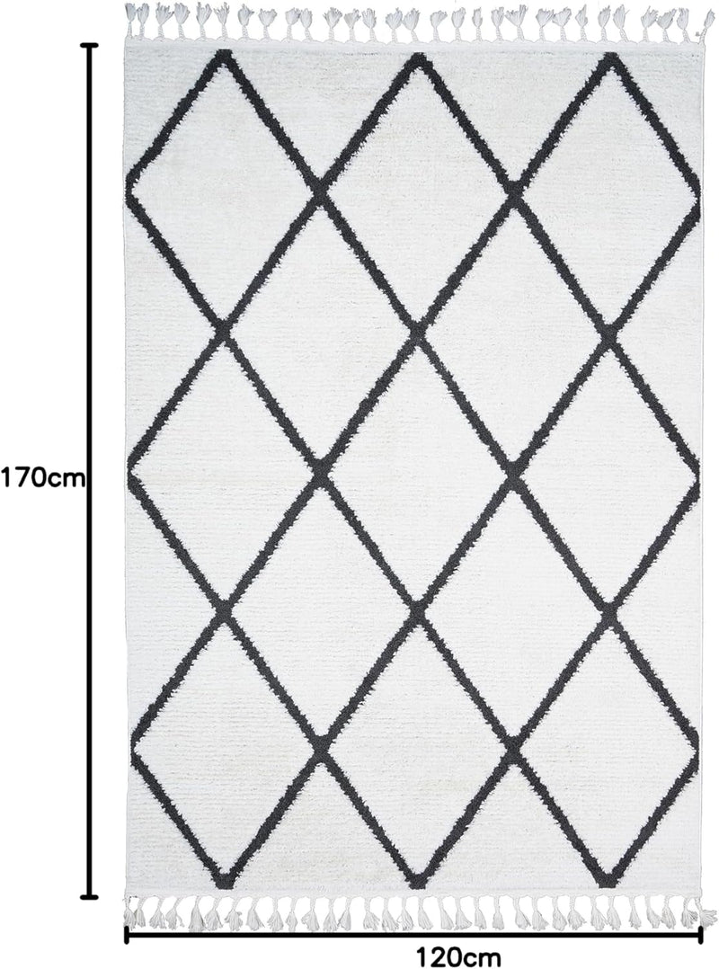 Living Room Rug Berber