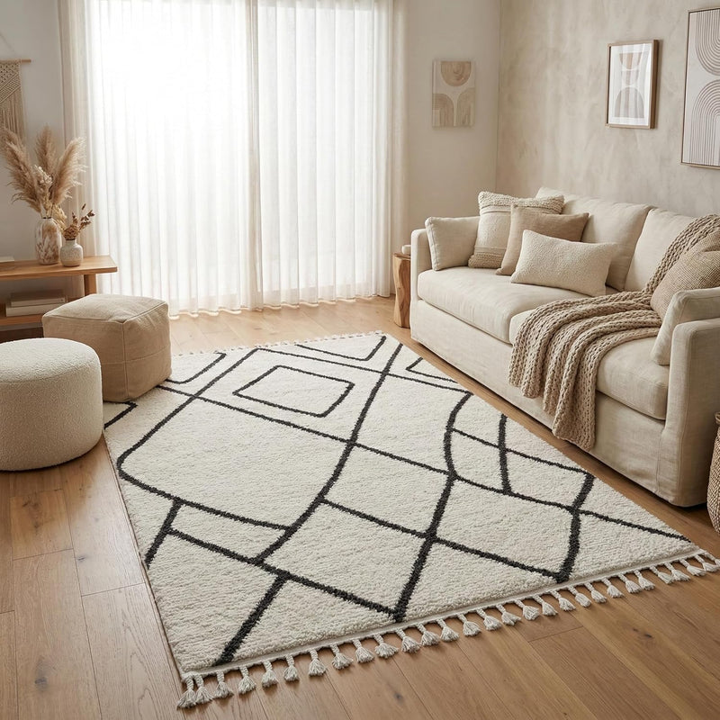 Living Room Rug Berber