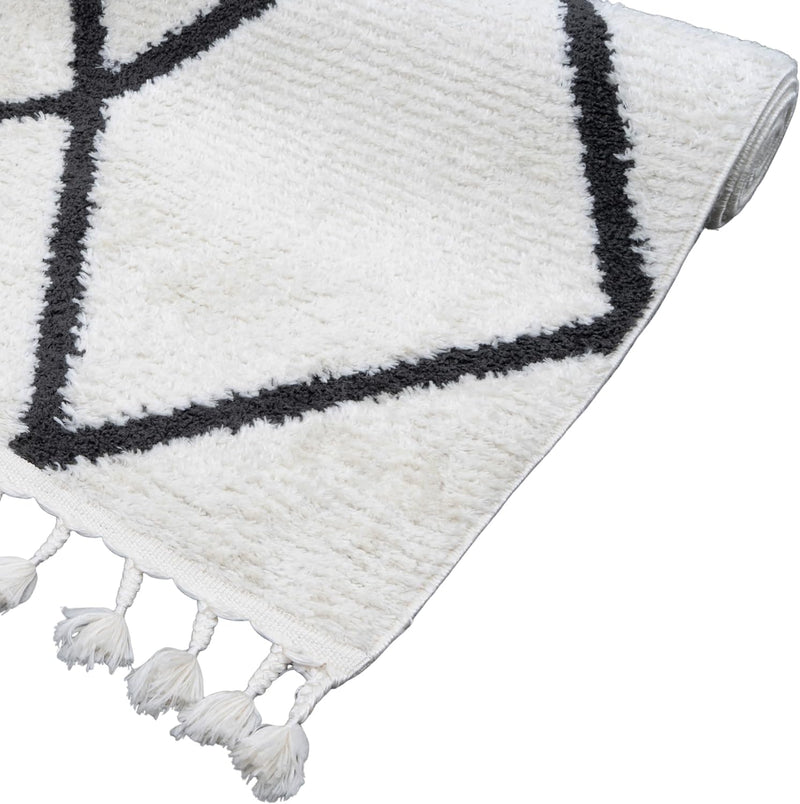 Living Room Rug Berber