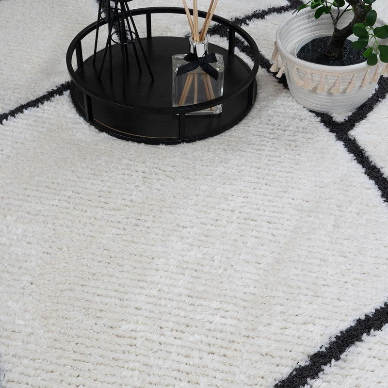 Living Room Rug Berber