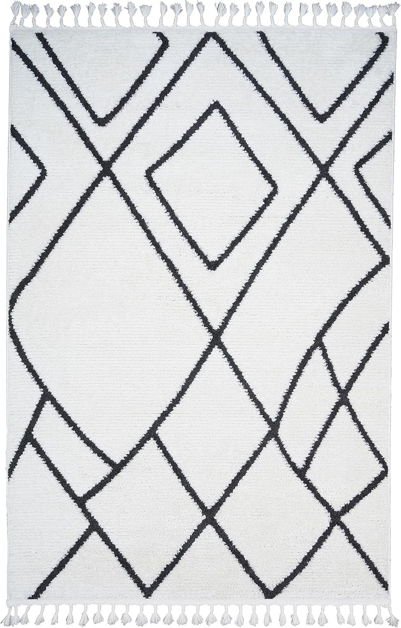 Living Room Rug Berber