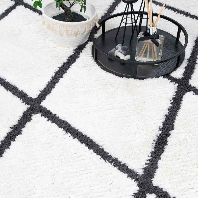 Living Room Rug Berber