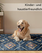 Living Room Rug
