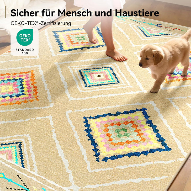 Living Room Rug Washable