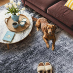Living Room Rug Washable Rugs Abstract Denim