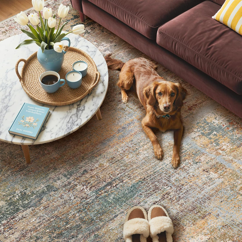 Living Room Rug Washable Rugs Abstract Ochre