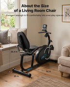 Low-Impact Recumbent Exercise Bike with 8-Level Magnetic