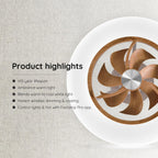 Low Profile Ceiling Fan with Light Modern Flush
