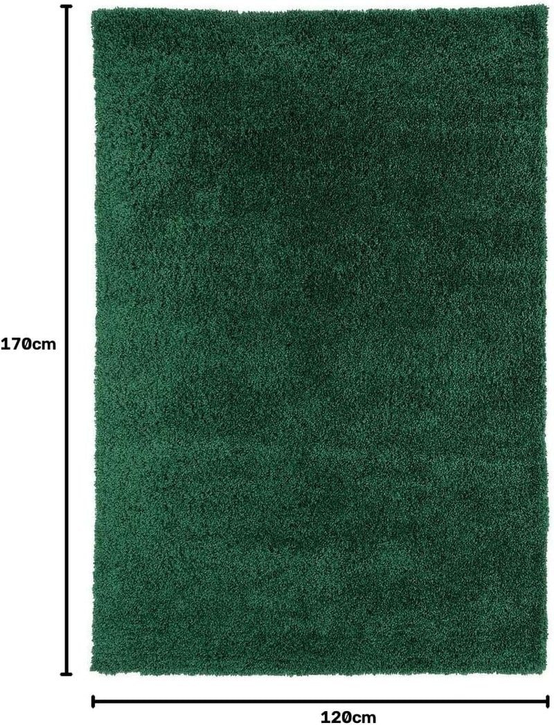 Luxury Thick Pile Emerald Shaggy Living Room Area