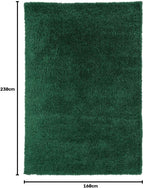 Luxury Thick Pile Emerald Shaggy Living Room Area