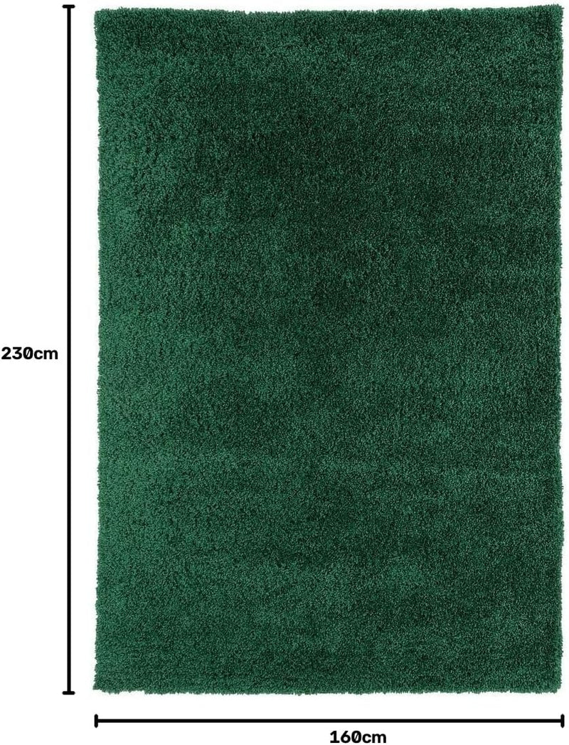 Luxury Thick Pile Emerald Shaggy Living Room Area