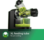 Masticating Juicer Viva Collection 150W 1L Quickclean
