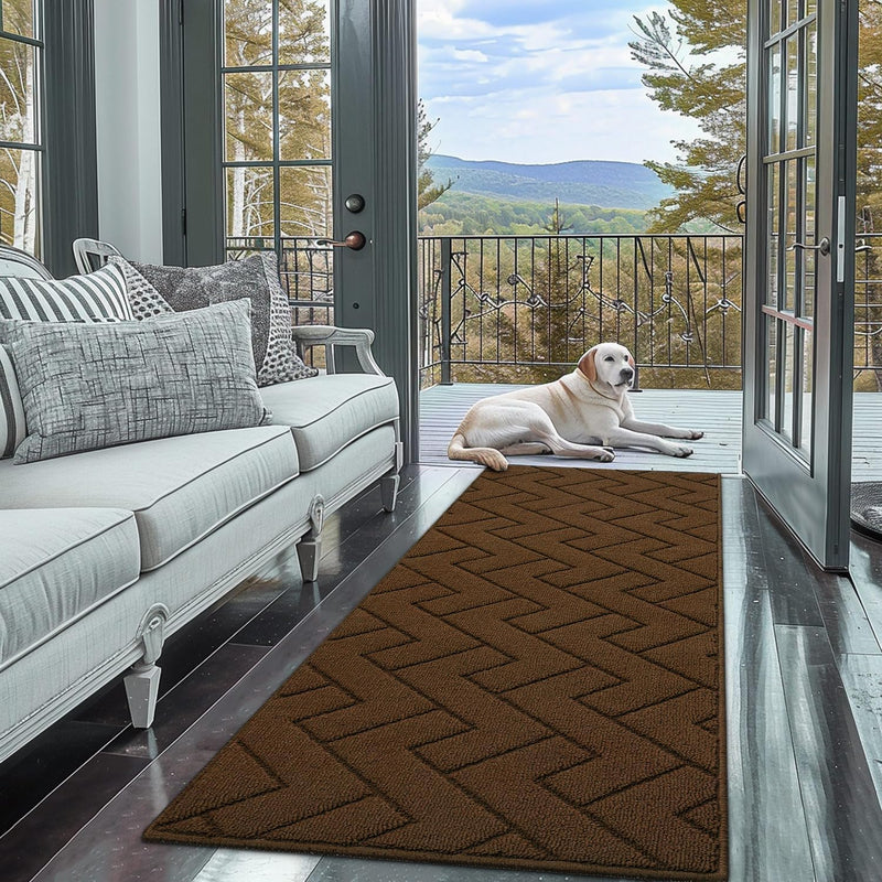 Mat Doormat Indoor Washable Dirt Trapper