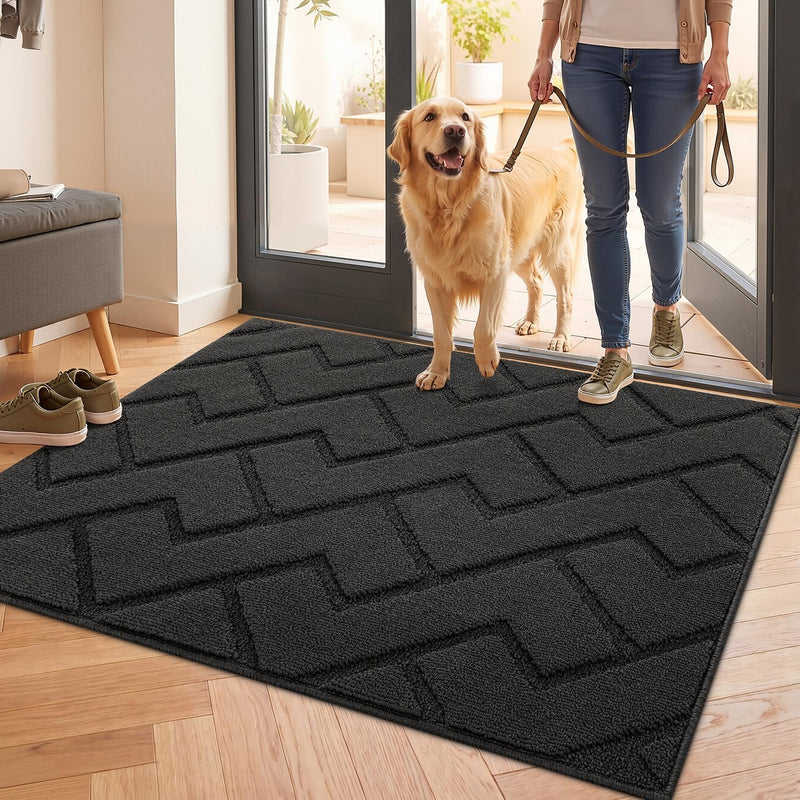 Mat Doormat Indoor Washable Dirt Trapper