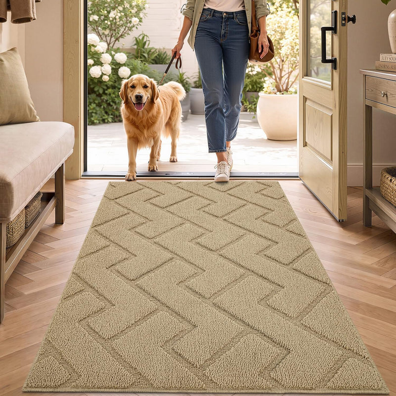 Mat Doormat Indoor Washable Dirt Trapper