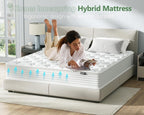 Mattress Innerspring Hybrid with Breathable Foam