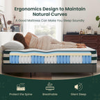 Mattress 12 Inch Hybrid Pocket Sprung 9-Zone Support