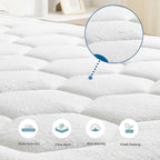 Mattress 12 Inch Memory Foam with Stellar Pocket
