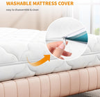 Mattress 15CM Foam with 2 Hardness Levels