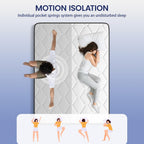 Mattress 22CM Thick Pocket Sprung for Pressure Relief