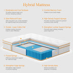 Mattress 25CM Hybrid with Memory Foam Pocket Springs