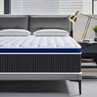 Blue-grey