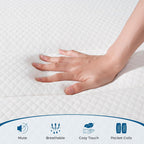 Mattress Bed 10.6 Inch Hybrid with Aeroshield Memory