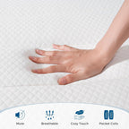 Mattress Bed 10.6 Inch Hybrid with Aeroshield Memory