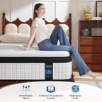 Mattress Bed 10.6 Inch Hybrid with Aeroshield Memory