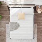 Mattress Bed 10.6 Inch Hybrid with Aeroshield Memory