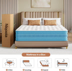 Mattress with Memory Foam 7 Zone