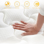 Mattress Hybrid Mattresses in a Box with Memory