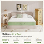 Mattress Hybrid Medium Firm Orthopaedic Memory