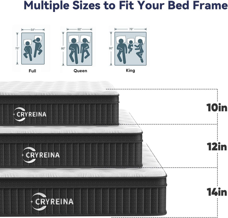 Mattress in a Box 12 Inch Hybrid