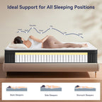 Mattress in a Box 12 Inch Hybrid