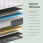 Mattress in a Box Mattresses