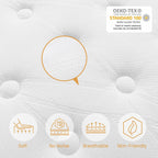 Mattress Memory Foam Spring Hybrid